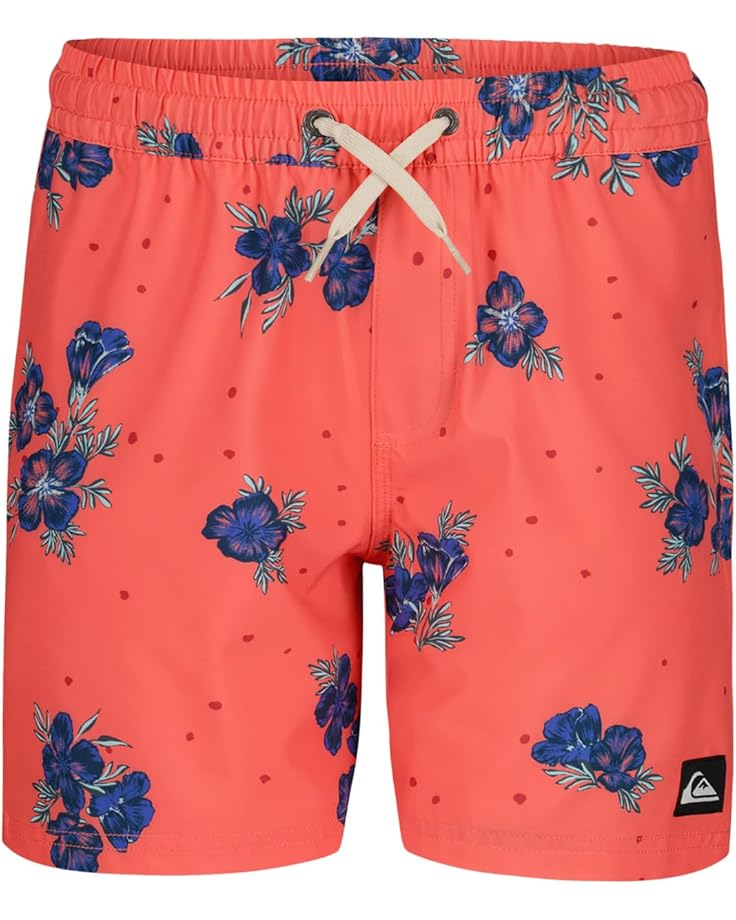 6pm Quiksilver Kids Surfsilk Mix Volley (Little Kids)