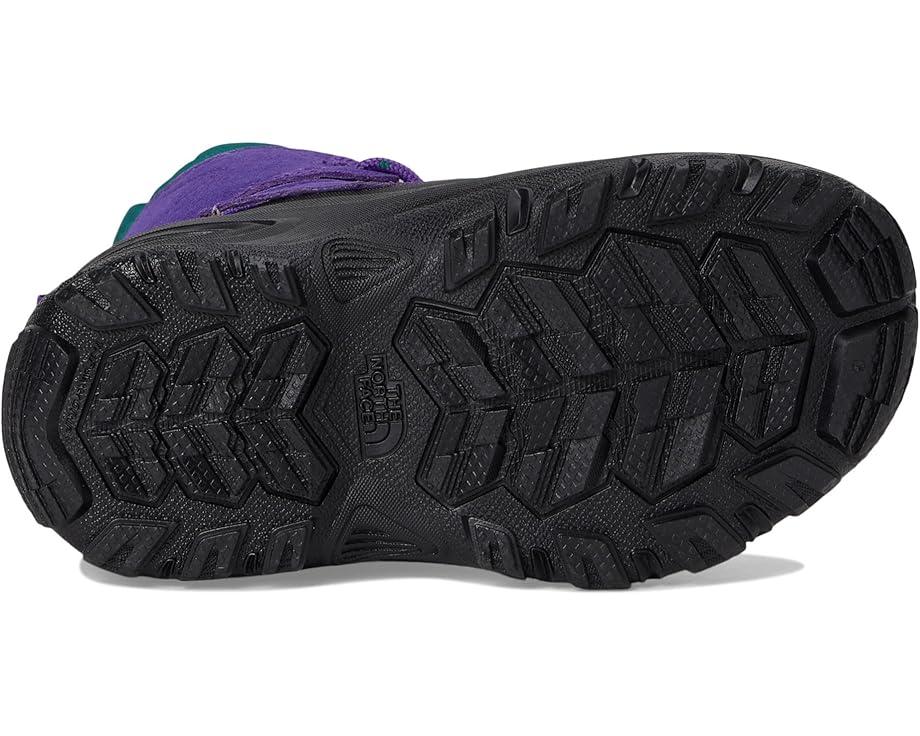 The North Face Kids Alpenglow V Waterproof (Youth)