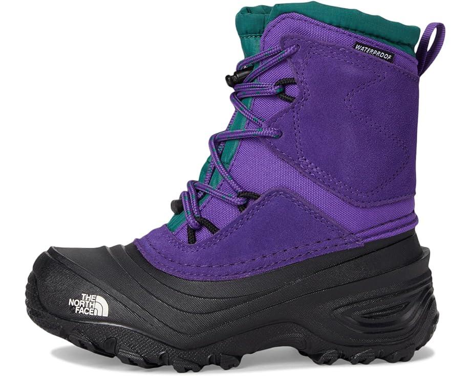 The North Face Kids Alpenglow V Waterproof (Youth)