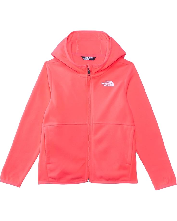 The North Face Kids Glacier Full Zip Hoodie (Toddler)