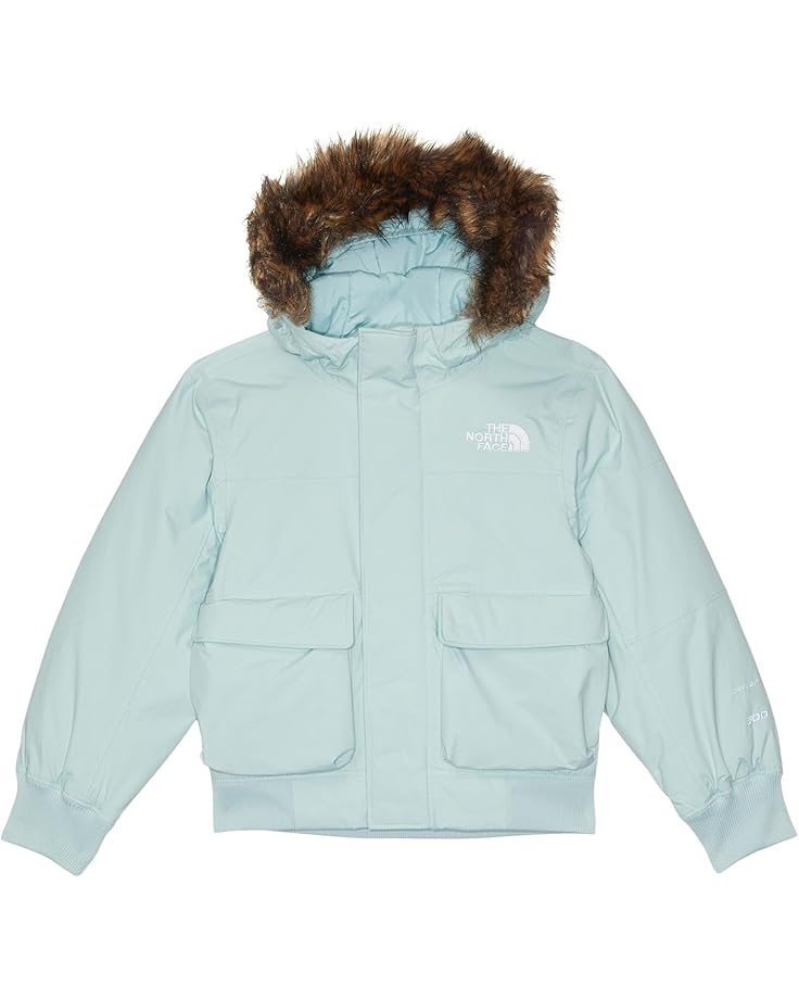 6pm The North Face Kids Teen McMurdo Hooded Jacket (Little Kid/Big Kid)