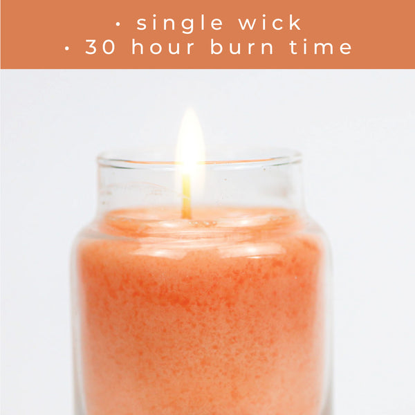 A Cheerful Giver Juicy Peach - 6 Oz Baby Candle