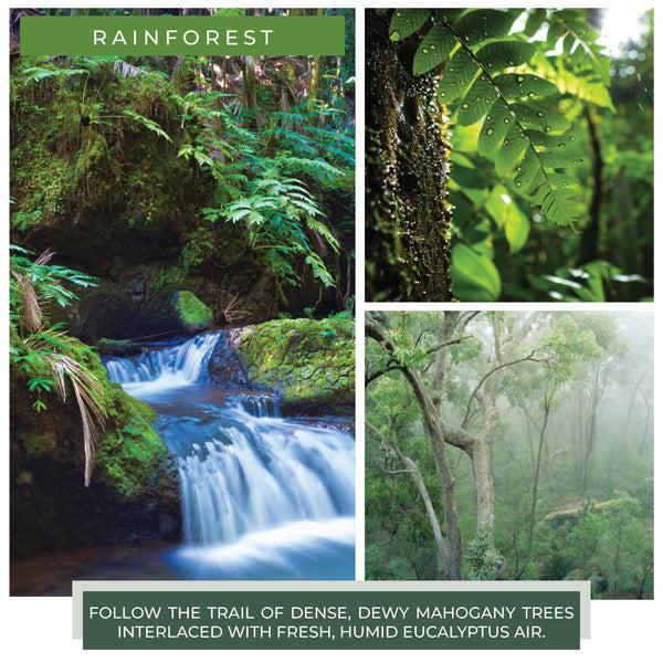 A Cheerful Giver Rainforest - 24 Oz Cheerful Candle