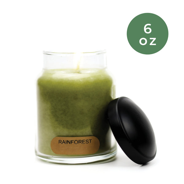 A Cheerful Giver Rainforest - 6 Oz Baby Candle