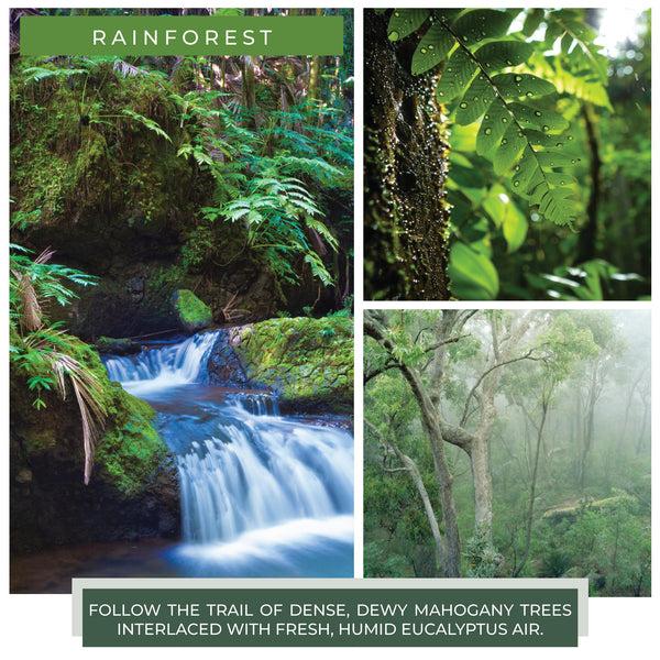 A Cheerful Giver Rainforest - 6 Oz Baby Candle