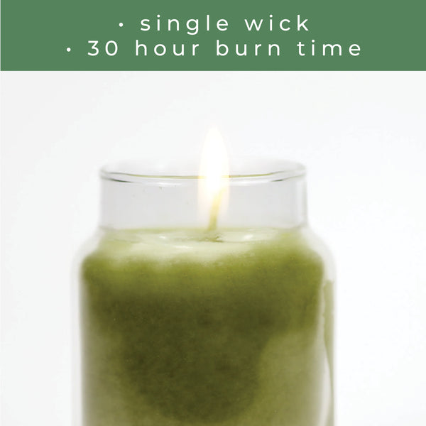 A Cheerful Giver Rainforest - 6 Oz Baby Candle