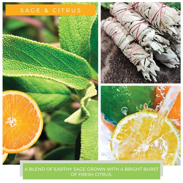 A Cheerful Giver Sage & Citrus - 34 Oz Papa Candle