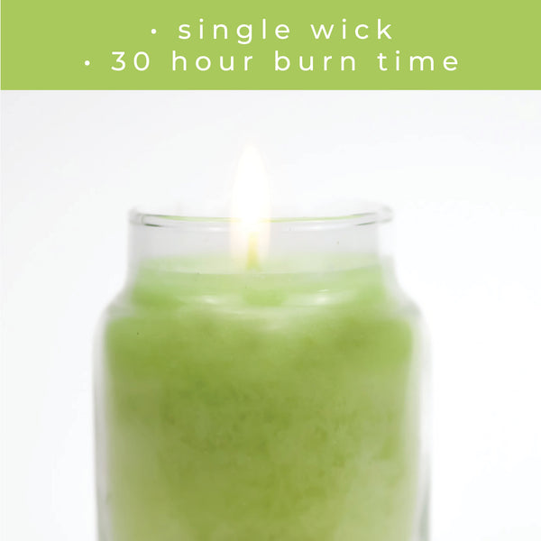 A Cheerful Giver Sage & Citrus - 6 Oz Baby Candle