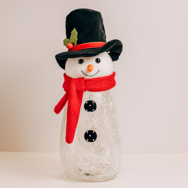 a cheerful giver Snowy Top Hat Plush Snowman