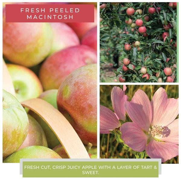 A Cheerful Giver Fresh Peeled Macintosh - 6 Oz Baby Candle
