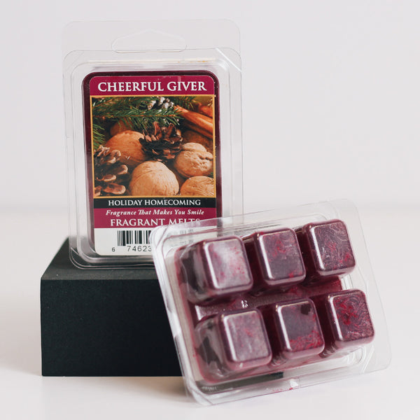 a cheerful giver Holiday Homecoming - Fragrance Melts