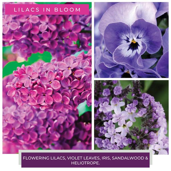 A Cheerful Giver Lilacs In Bloom - 24 Oz Cheerful Candle