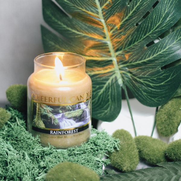 A Cheerful Giver Rainforest Scented Candle - 6 Oz Single Wick Cheerful Candle
