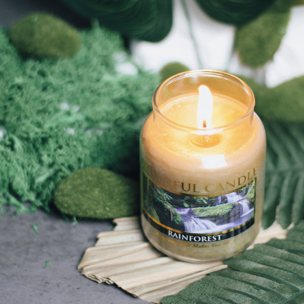 A Cheerful Giver Rainforest Scented Candle - 6 Oz Single Wick Cheerful Candle