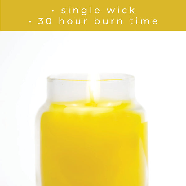 A Cheerful Giver Slice Of Paradise - 6 Oz Baby Candle