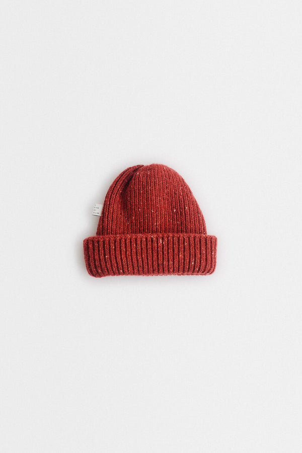 a kind of guise ALLEN BEANIE