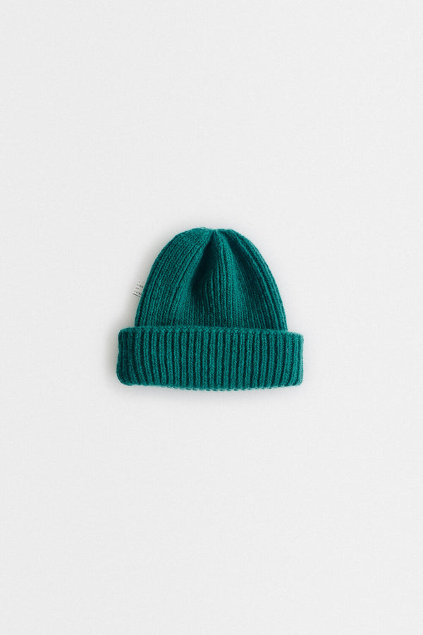 a kind of guise ALLEN BEANIE