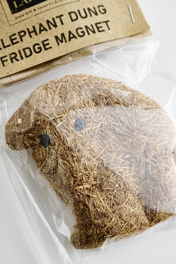 A Kind Of Guise Elephant Dung Magnet