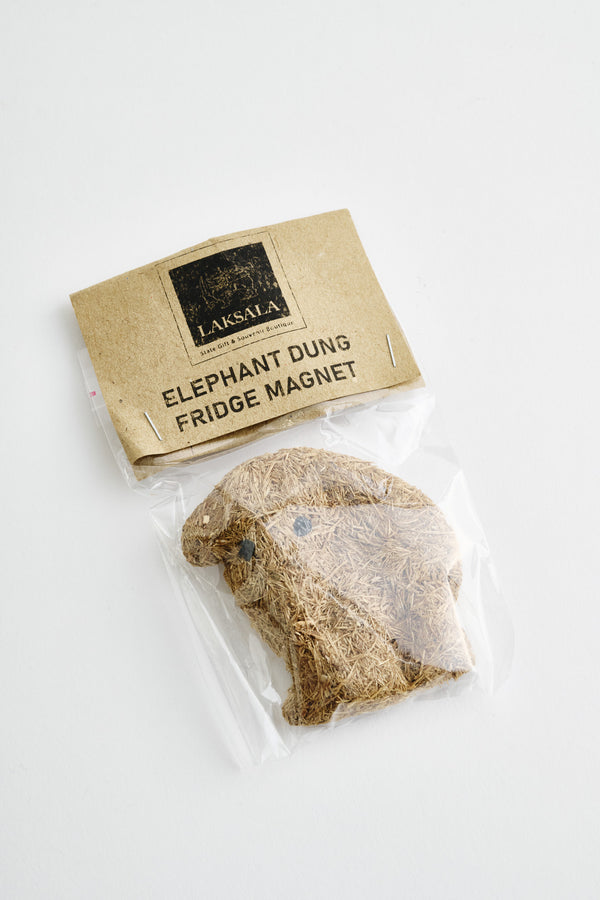 A Kind Of Guise Elephant Dung Magnet