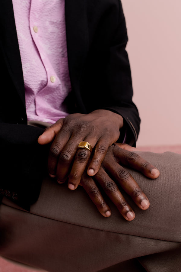 a kind of guise SIGNET RING STONE