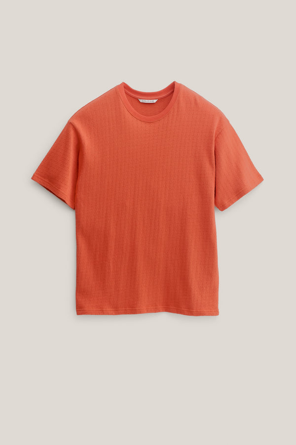 a kind of guise TADOR