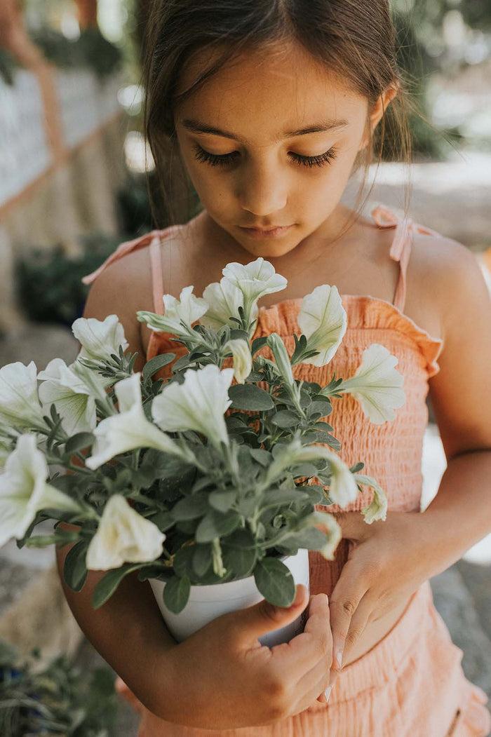 A Monday In Copenhagen Polly Top Canyon Sunset