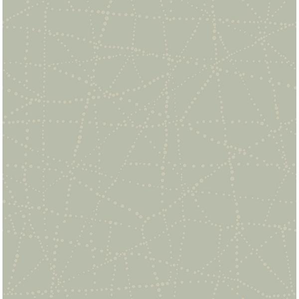 a street prints Alcott Sage Dotted Wallpaper