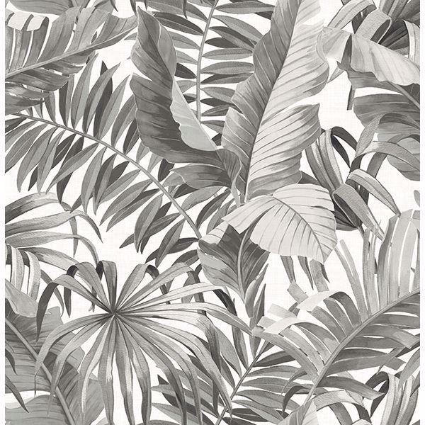 a street prints Alfresco Black Palm Leaf Wallpaper