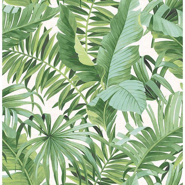 a street prints Alfresco Green Palm Leaf Wallpaper