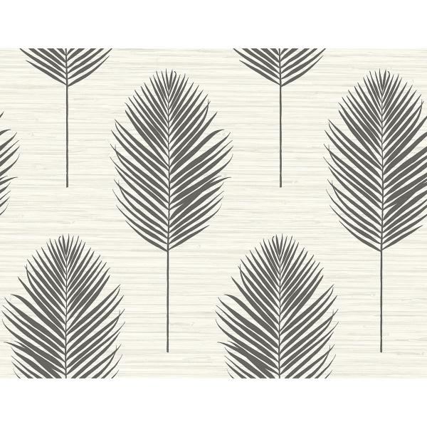 a street prints Bali Black Fern Wallpaper