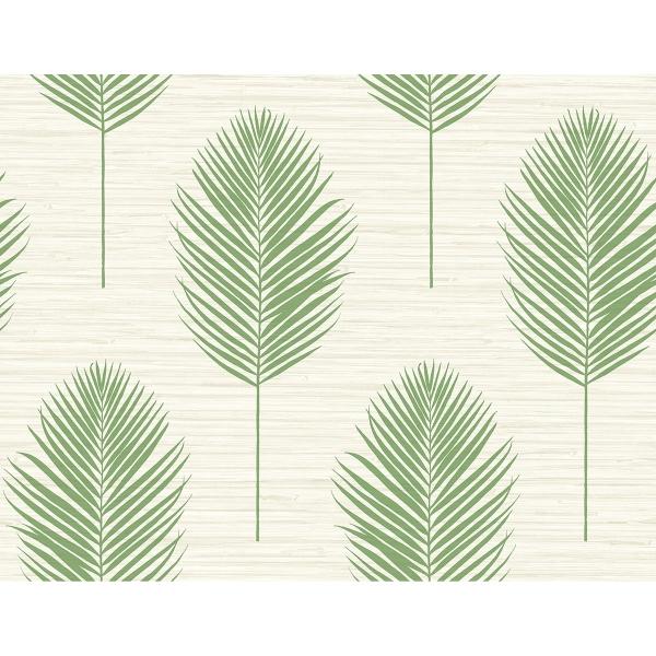 a street prints Bali Green Fern Wallpaper