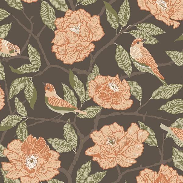 a street prints Bernadina Black Rosebush Wallpaper