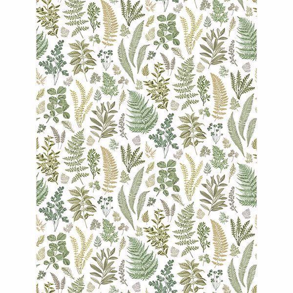 A Street Prints Britta Green Herbs Wall Mural