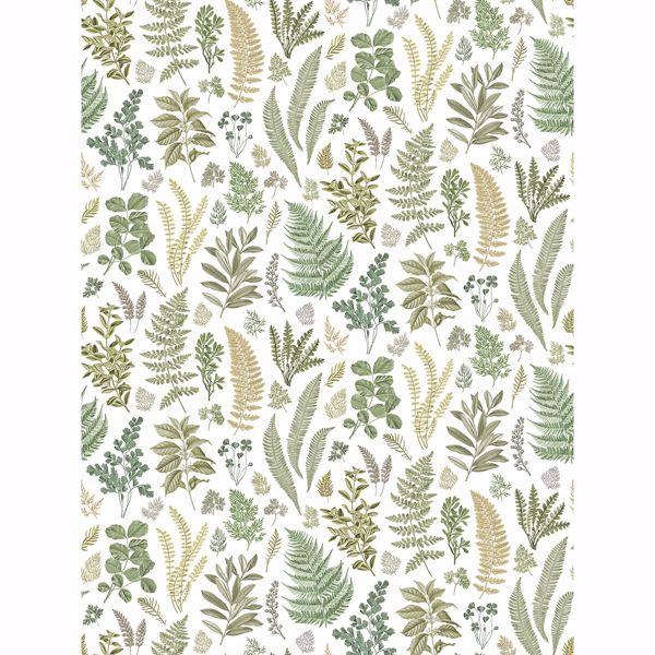 a street prints Britta Green Herbs Wall Mural