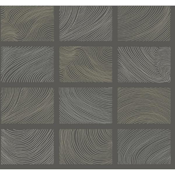 a street prints Bronson Slate Topography Wallpaper