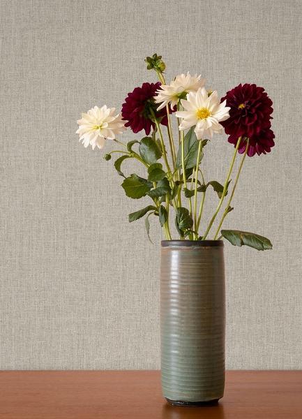 A Street Prints Cromie Beige Texture Wallpaper