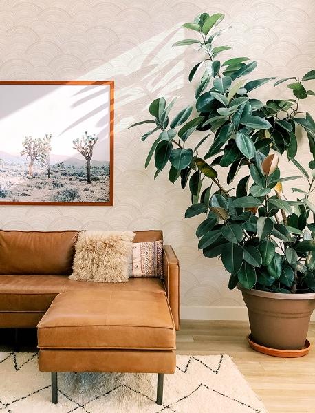 A Street Prints Encircle Dove Geometric Wallpaper