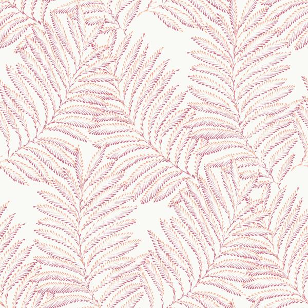 a street prints Finnley Pink Inked Fern Wallpaper