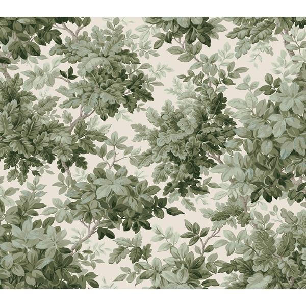 a street prints Greenwood Moss Deciduous Wallpaper