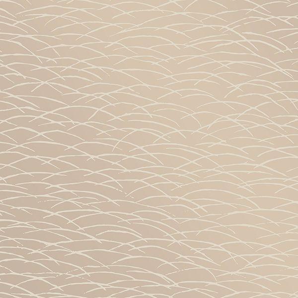 a street prints Hono Beige Abstract Wave Wallpaper