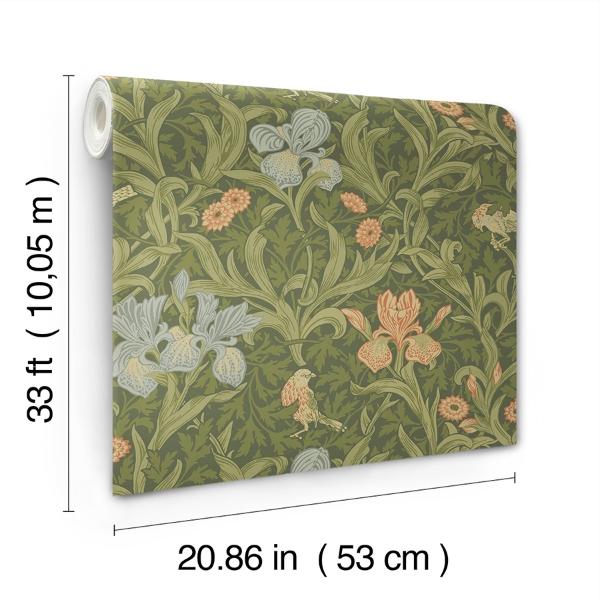 A Street Prints Iris Green Wild Gardens Wallpaper