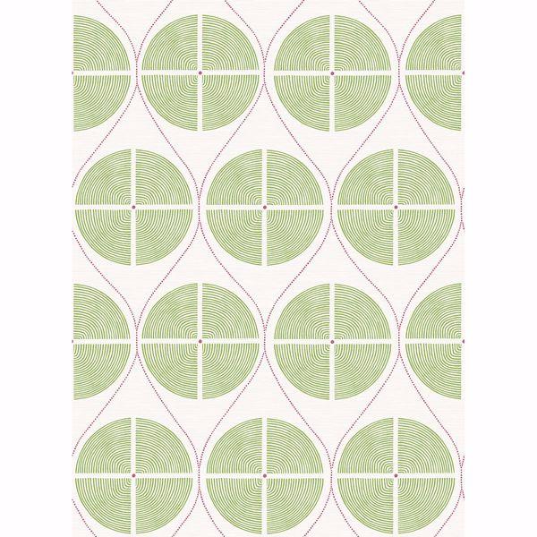 a street prints Luminary Green Ogee Wallpaper