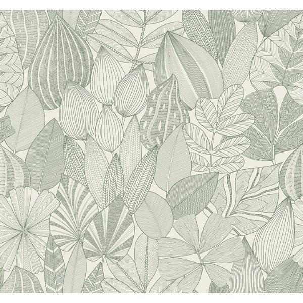 a street prints Mathias Green Botanical Wallpaper