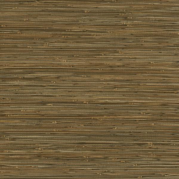 a street prints Mayleen Black Grasscloth Wallpaper