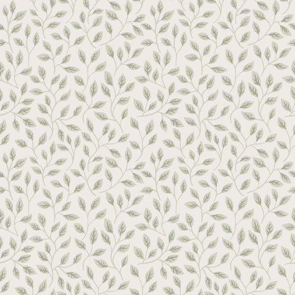 a street prints Posey Light Green Vines Wallpaper