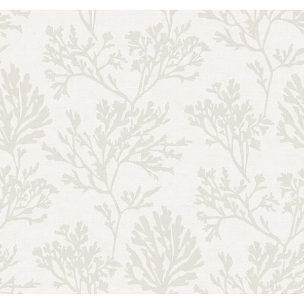 a street prints Tortuga Dove Coral Weave Wallpaper