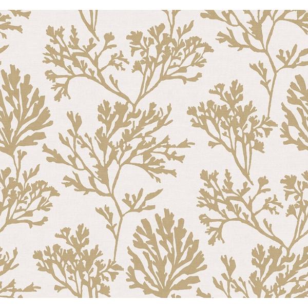 a street prints Tortuga Gold Coral Weave Wallpaper