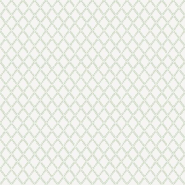 a street prints Trevor Sage Leaf Trellis Wallpaper