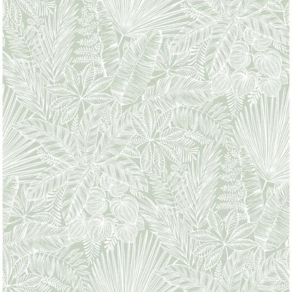 a street prints Vita Sage Botanical Wallpaper