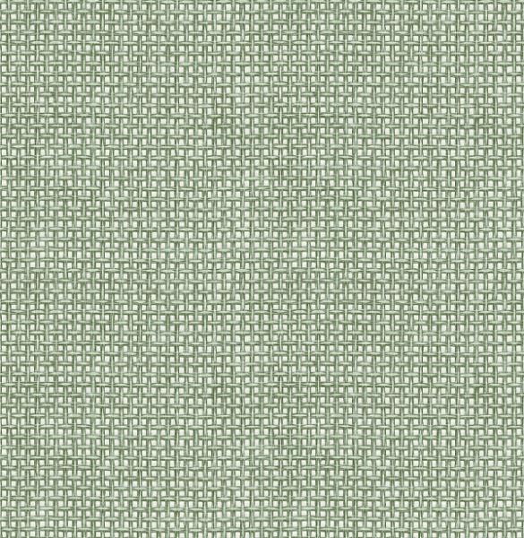 a street prints Zia Green Basketweave Wallpaper